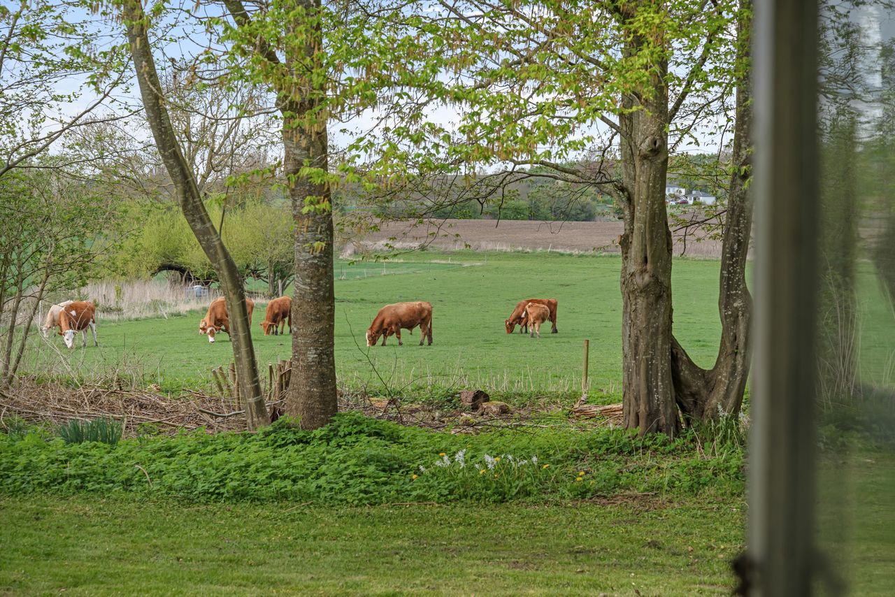image 02