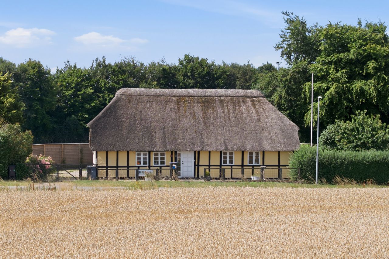 image 01